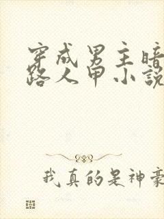 穿成男主暗恋的路人甲小说