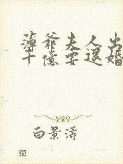 薄爷夫人出价一千亿要退婚免费全本阅读