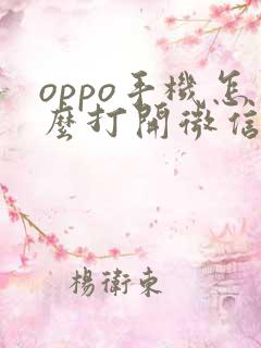oppo手机怎么打开微信视频美颜功能
