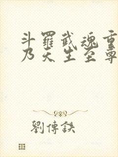 斗罗武魂重瞳吾乃天生至尊