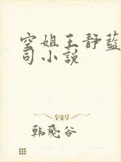 空姐王静蓝天公司小说