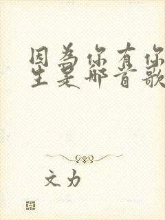 因为你有你的人生是哪首歌的歌词