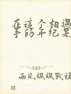 在这个相遇又分手的年纪是什么歌