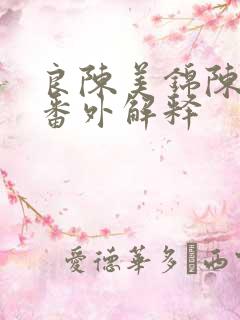 良陈美锦陈玄青番外解释