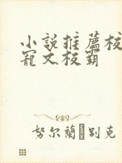 小说推荐校园甜宠文校霸