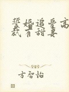 誓婚追爱高冷总裁有甜妻