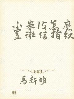 小米15怎么设置微信指纹解锁