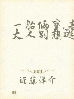 一胎俩宝,老婆大人别想逃在线阅读