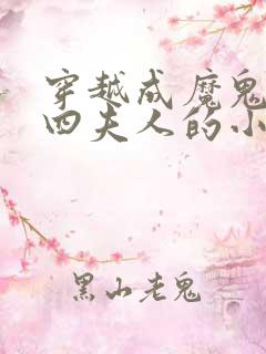 穿越成魔鬼恋人四夫人的小说