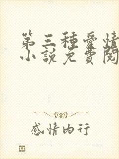 第三种爱情原著小说免费阅读