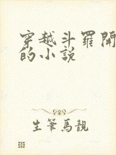 穿越斗罗开后宫的小说