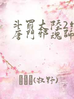 斗罗大陆2绝世唐门邪魂师