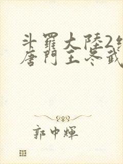 斗罗大陆2绝世唐门王冬武魂