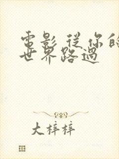 电影 从你的全世界路过