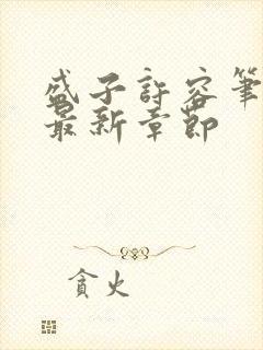 盛子许容笔趣阁最新章节