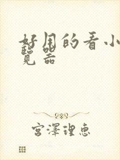 好用的看小说浏览器