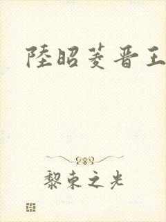 陆昭菱晋王小说