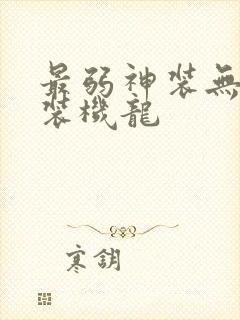 最弱神装无败神装机龙