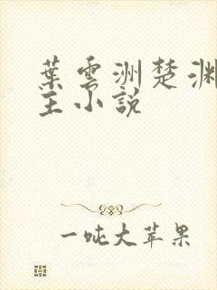 叶云洲楚渊双男主小说