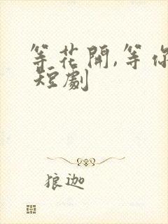 等花开,等你归 短剧