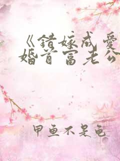 《错嫁成爱:闪婚首富老公》