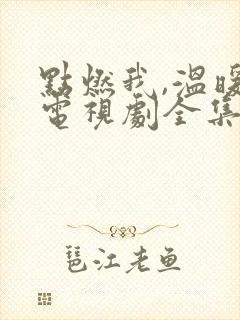 点燃我,温暖你电视剧全集免费播放