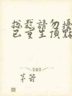 总裁请勿扰原配已重生顶点