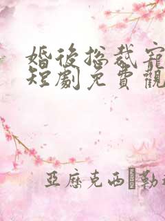 婚后总裁宠上天短剧免费观看