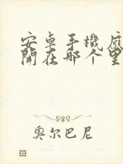 安卓手机应用双开在哪个里面