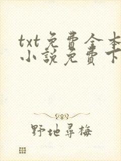 txt免费全本小说免费下载网
