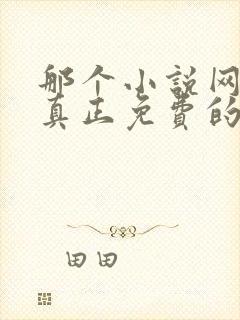 那个小说网站是真正免费的