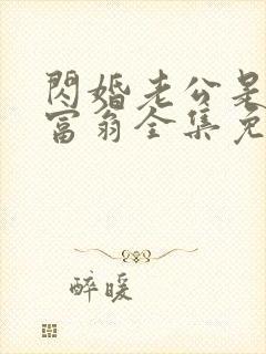 闪婚老公是亿万富翁全集免费