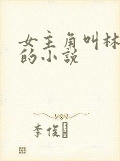女主角叫林恩恩的小说