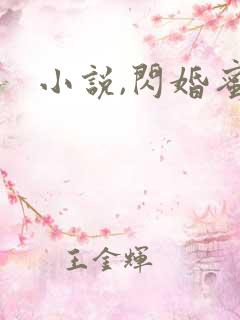 小说,闪婚蜜爱