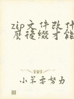 zip文件改什么后缀才能打开