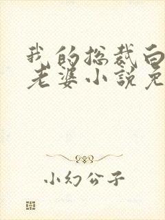 我的总裁白富美老婆小说免费未删版下载