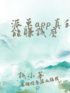 派单app真的能赚钱么