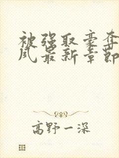 被强取豪夺后宁夙最新章节