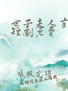 世子夫人有喜了短剧免费