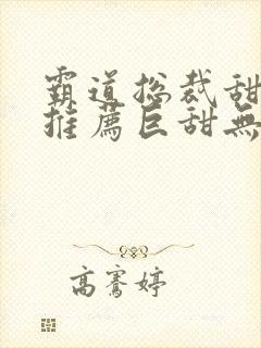 霸道总裁甜宠文推荐巨甜无虐