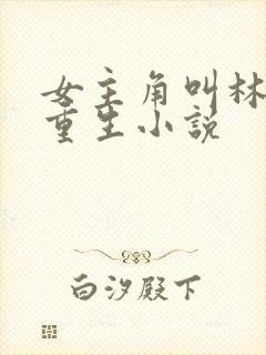 女主角叫林月的重生小说