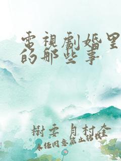 电视剧婚里婚外的那些事