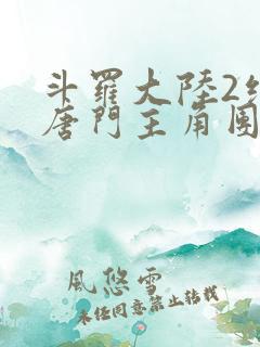 斗罗大陆2绝世唐门主角团