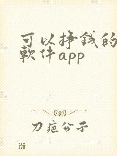 可以挣钱的聊天软件app