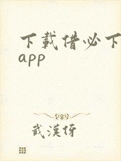 下载借必下贷款app