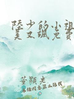 陆少的小祖宗又美又飒免费阅读