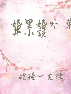 婚里婚外 叶晓井小说