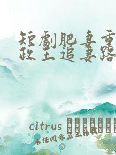 短剧肥妻重生摄政王追妻路漫漫
