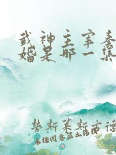 武神主宰秦尘抢婚是哪一集