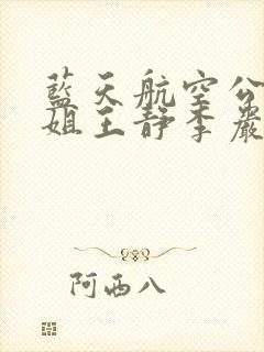 蓝天航空公司空姐王静李岩牛凯陆云飞